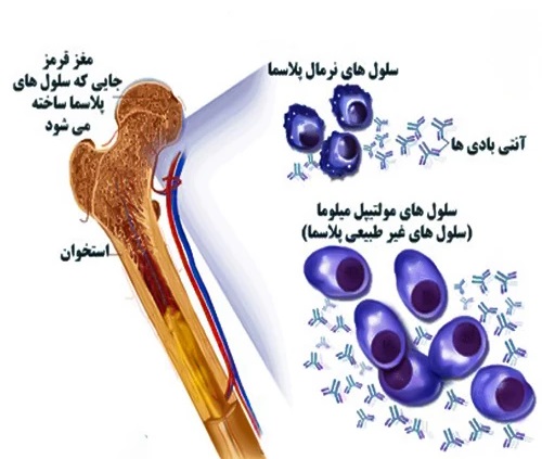 ااا