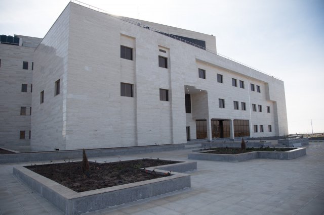 دانشگاه